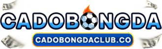 cadobongdaclub.co