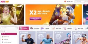 Giới thiệu tổng quan về NET88