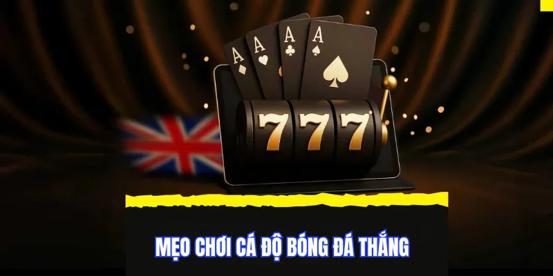 Mẹo chơi cá độ bóng đá thắng